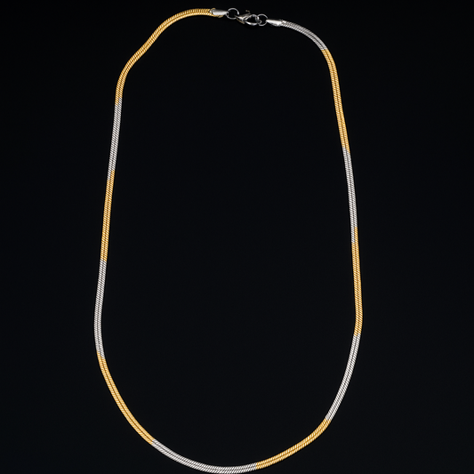 Gold and Silver Snake Chain